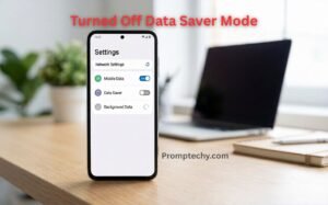 I Turned Off Data Saver Mode